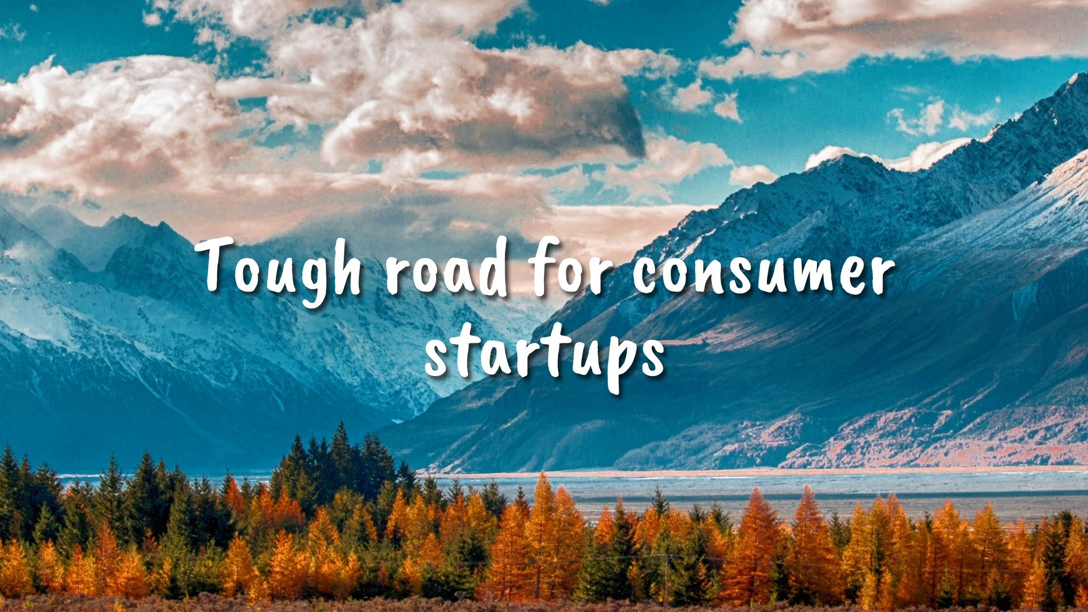 Tough road for consumer startups